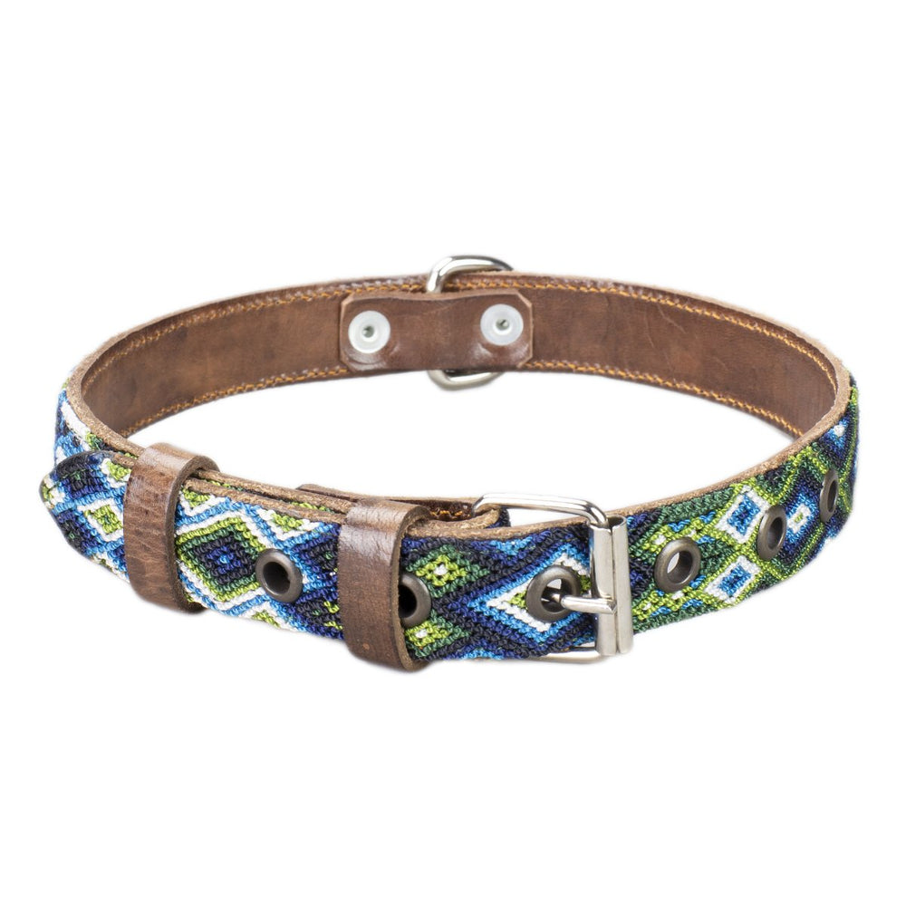 akumal dog collar blue and green front view