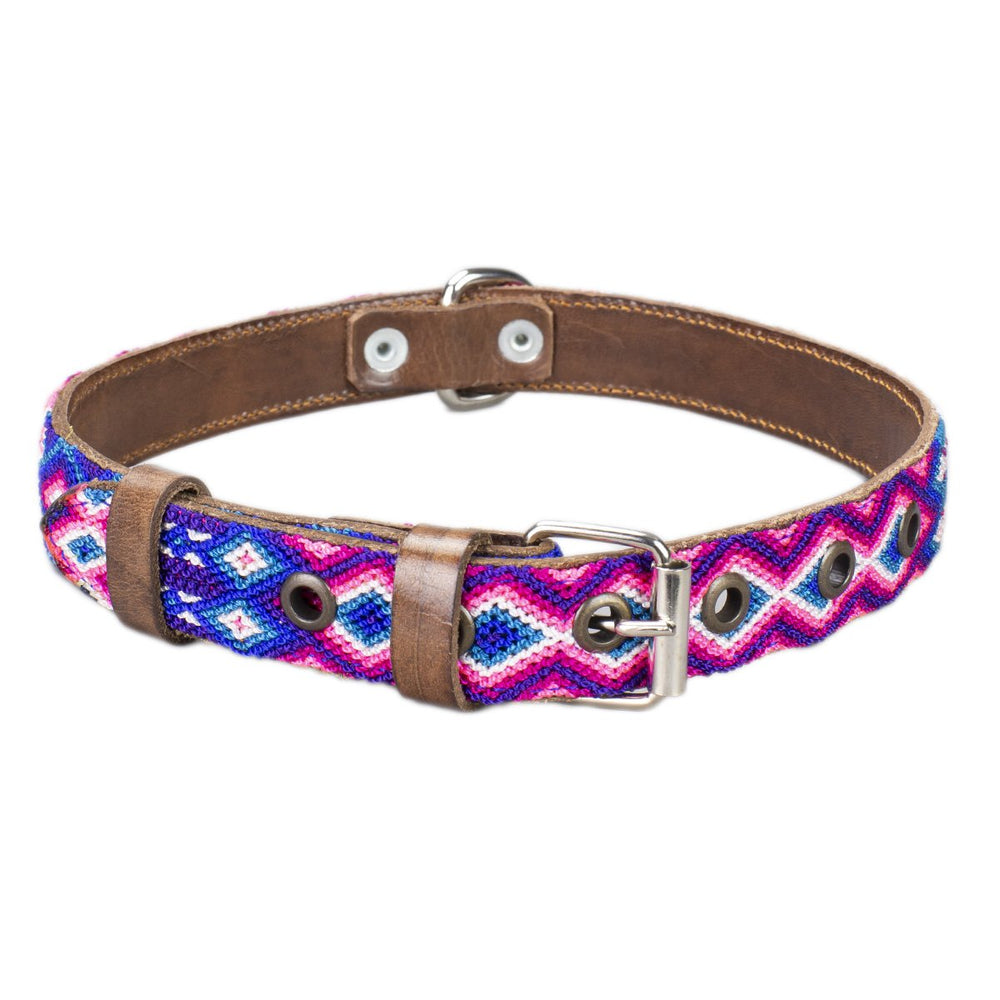 marieta dog collar pink and blue front view
