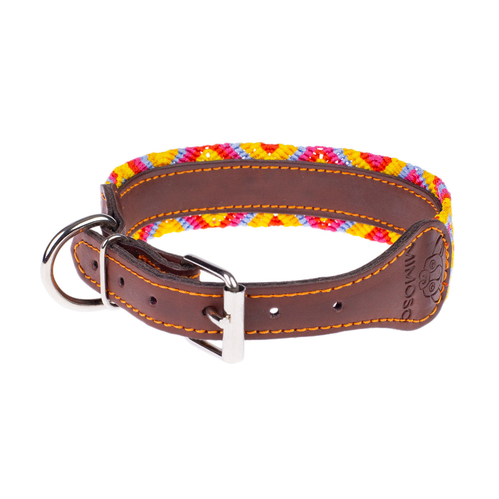 Artisan Dog Collar, Chapala