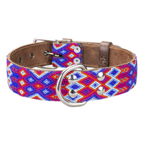 dog collar blue and red buckle view