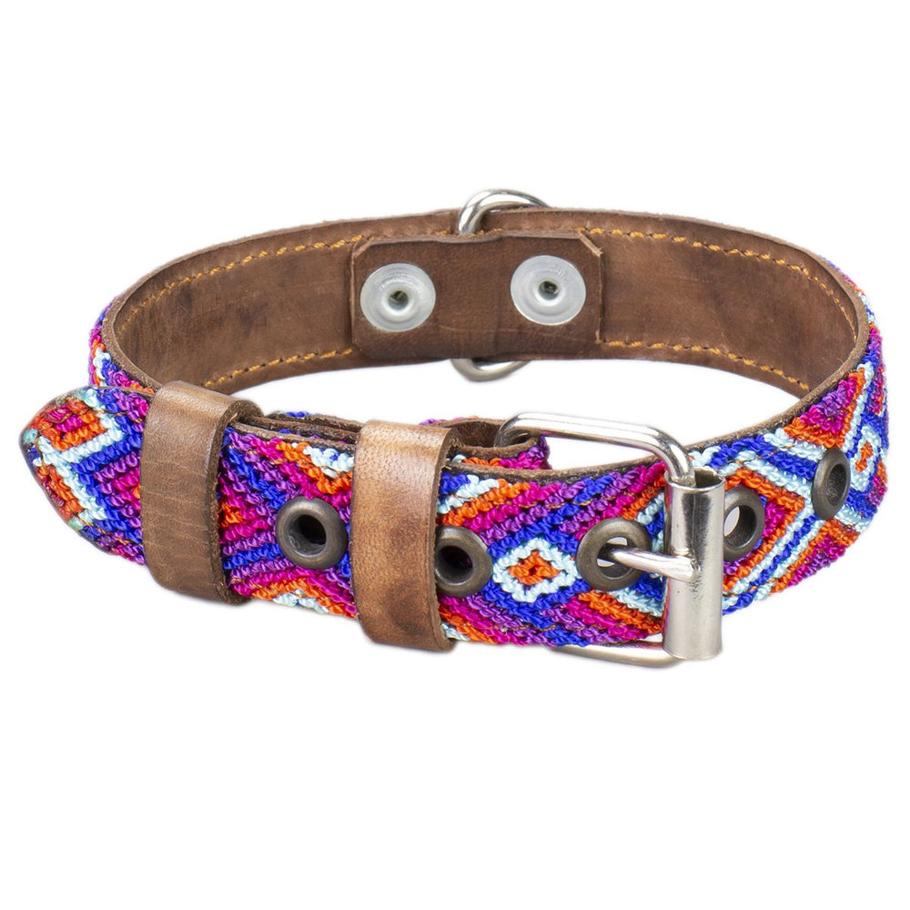 huatulco dog collar blue and red front view