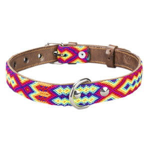 ventura dog collar yellow,red and blue buckle view