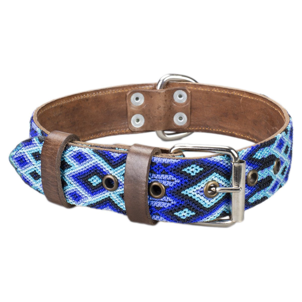 
            
                Load image into Gallery viewer, xpuha dog collar blue front view
            
        