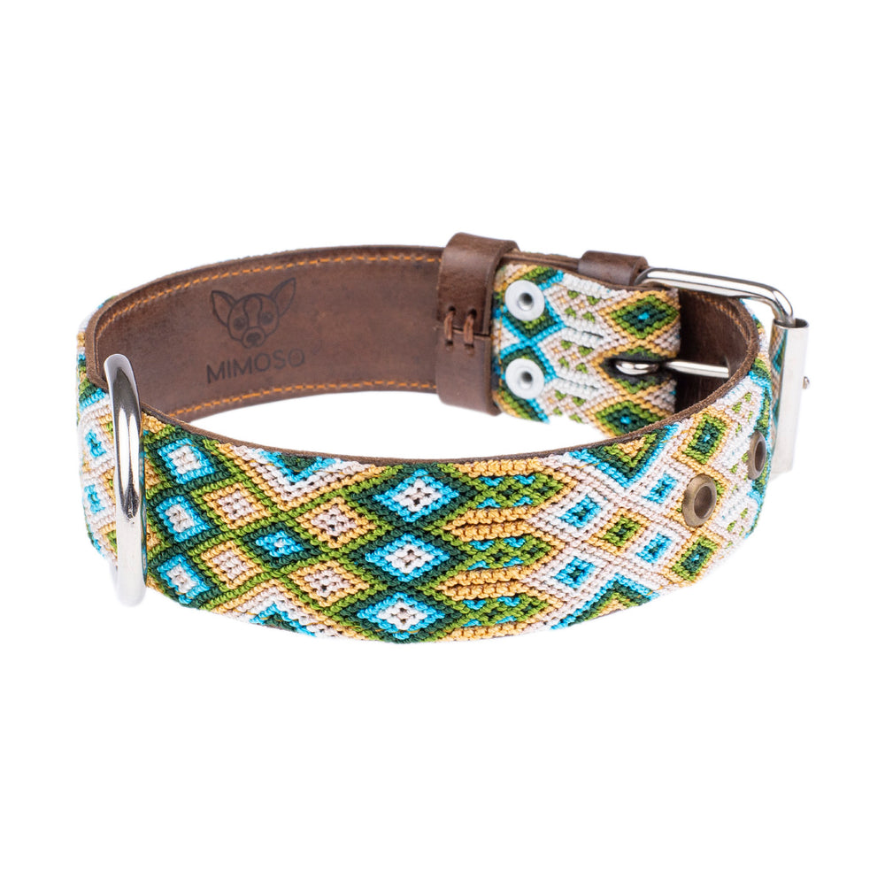 
            
                Load image into Gallery viewer, Artisan Dog Collar, Arenal width 3.5cm
            
        
