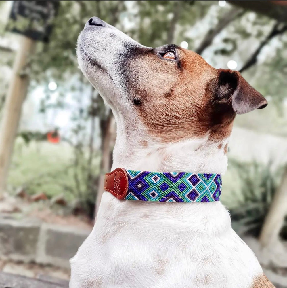 Friendship Bracelet Dog Collar BW Squary